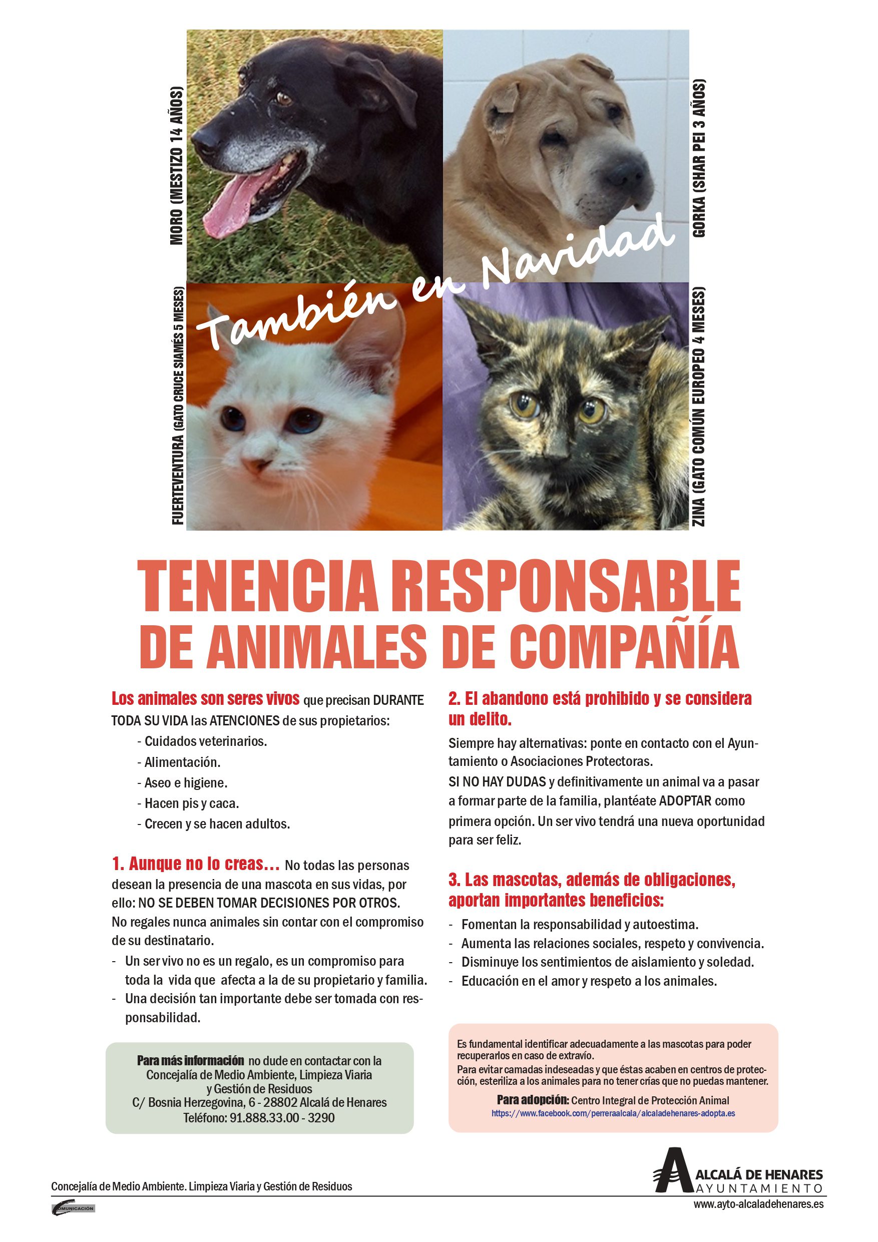 Campaña informativa para la tenencia responsable de animales de compañía: todos contra abandono y por el maltrato - Ayuntamiento de Alcalá de Henares %
