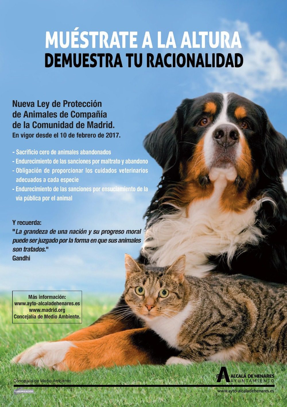 Volverse País interrumpir Entra en vigor la nueva Ley de Protección de Animales de Compañía de la  Comunidad de Madrid - Ayuntamiento de Alcalá de Henares %