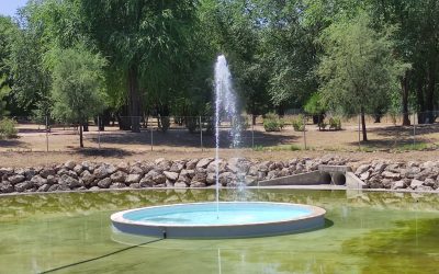 El Ayuntamiento realiza nuevas actuaciones de mejora en el entorno del arroyo Camarmilla y el Gran Parque de Espartales