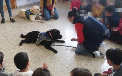 El Ayuntamiento y la Asociación Dog Point organizan charlas de sensibilización escolar sobre perros de asistencia para personas con TEA