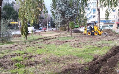 El Ayuntamiento de Alcalá aprueba mejoras en el contrato de mantenimiento de las zonas verdes y el arbolado de la ciudad 