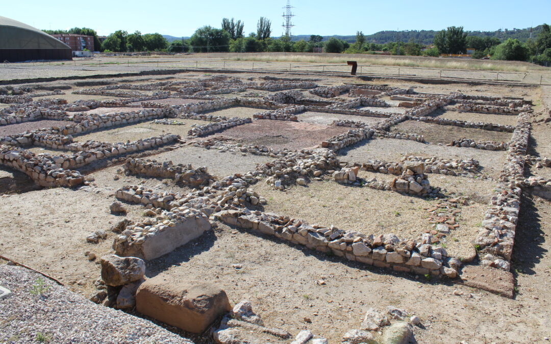 El Parque Arqueológico de Complutum acogerá el próximo 9 de septiembre una nueva acción divulgativa “Living History”