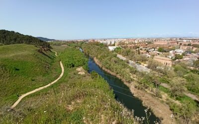 Continúa la programación de las rutas medioambientales en Alcalá de Henares