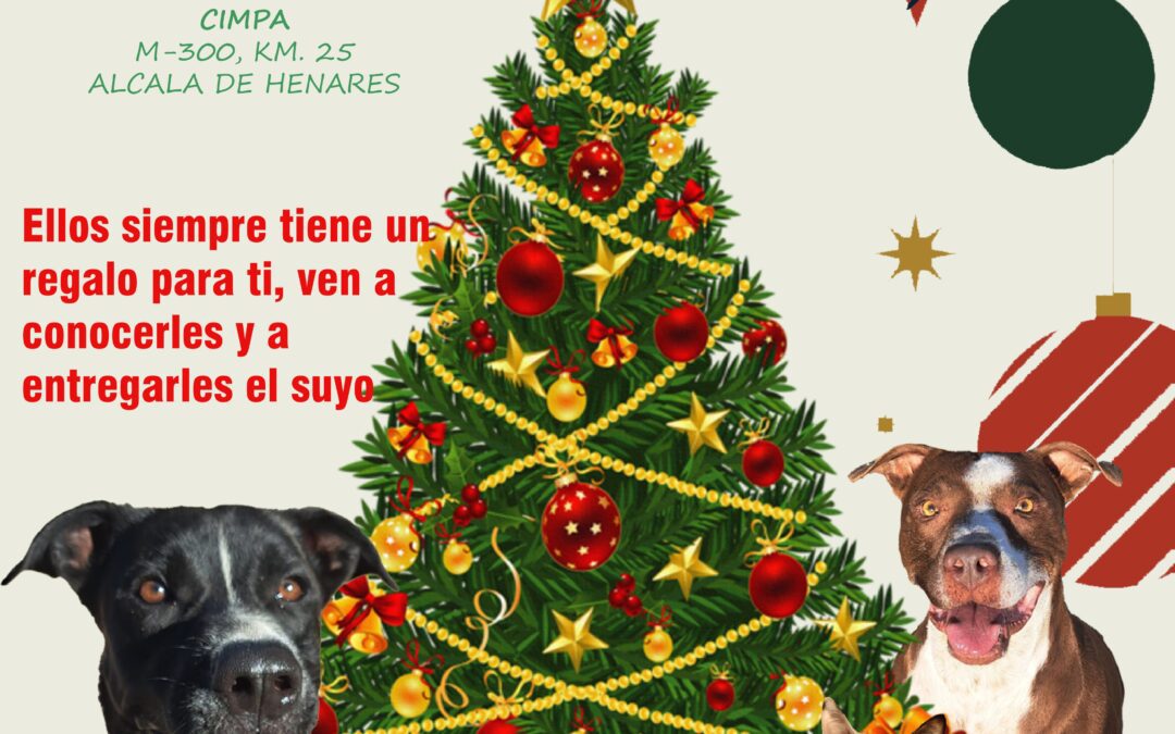 Jornada navideña de puertas abiertas en el Centro Municipal de Protección Animal